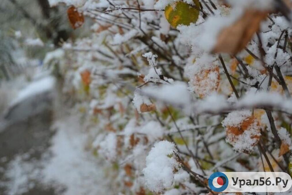 Первый снег в Оренбургской области, фото из архива