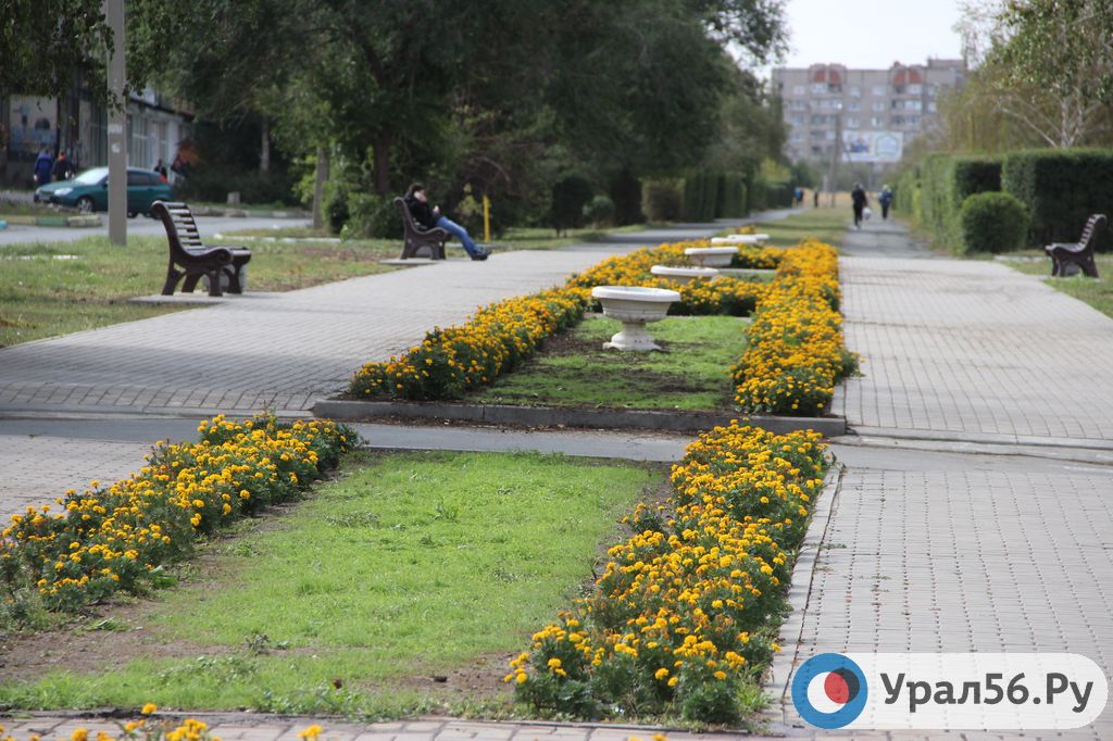 Газон на бульваре Добровольского в Орске (фото из архива)