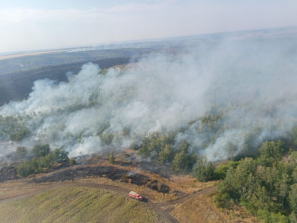 Пожар на востоке Оренбургской области. Фото: МЧС России по Оренбургской области