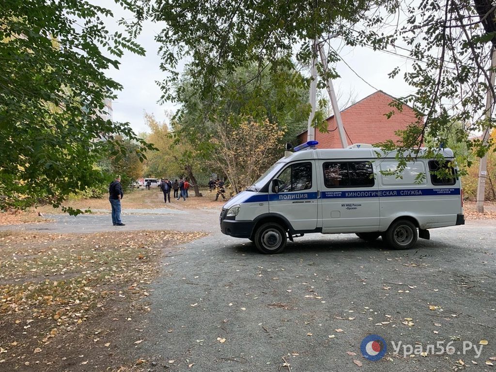 Кинологическая служба на месте происшествия в Орске