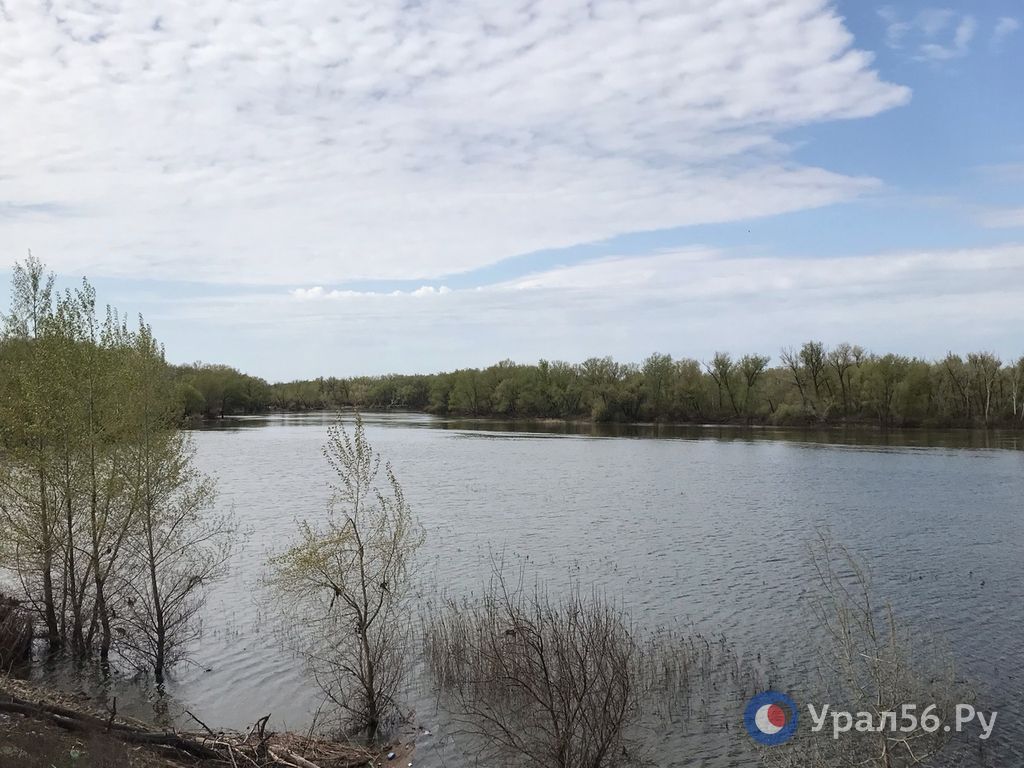 Урал в районе Орска, 25.04.2024
