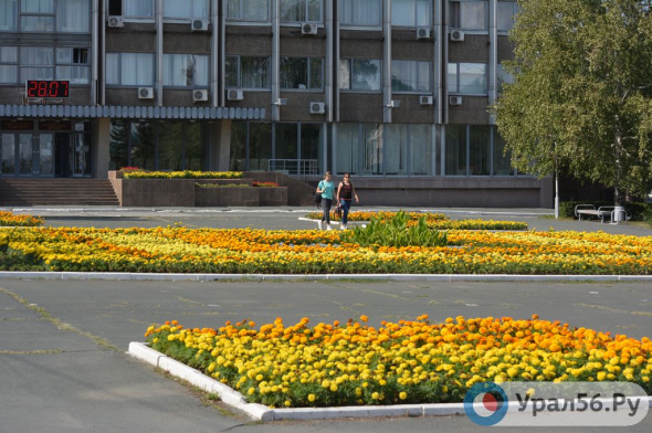 Почти 1 млн рублей пойдет на цветники и газоны на Комсомольской площади Орска в этом году