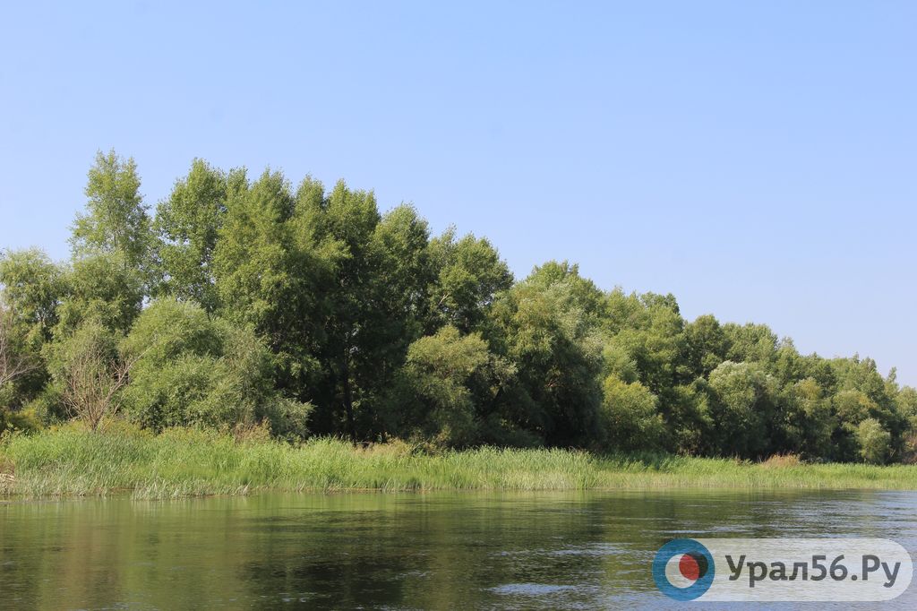 рыбалка на реке урал оренбургская область