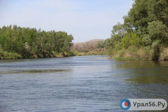 Всего за 2 года уровень воды в реке Урал в Оренбургской области снизился больше, чем за последние 50 лет