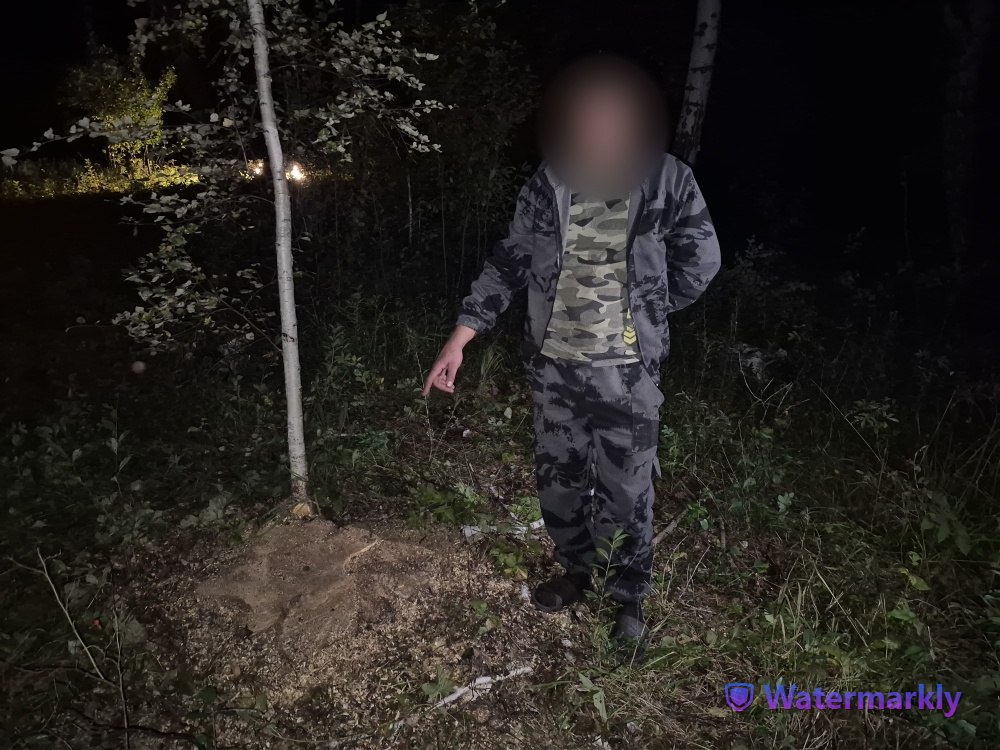 Мужчина месте спила берез. Фото УМВД по Оренбургской области 