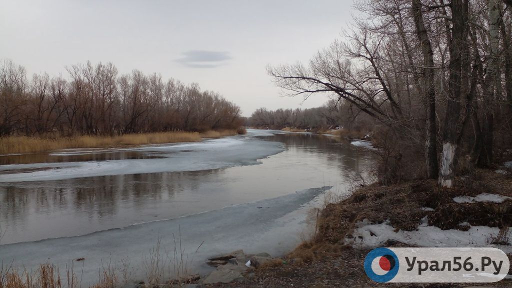 Урал в Оренбургской области, фото из архива