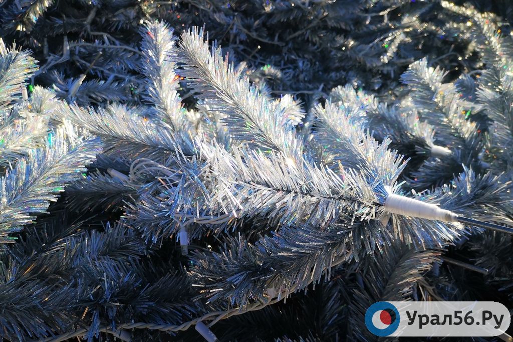 Ветви новогоднего дерева, которое устанавливают у Дома Советов