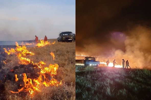 Пожар в заповеднике «Оренбургский» удалось потушить спустя сутки