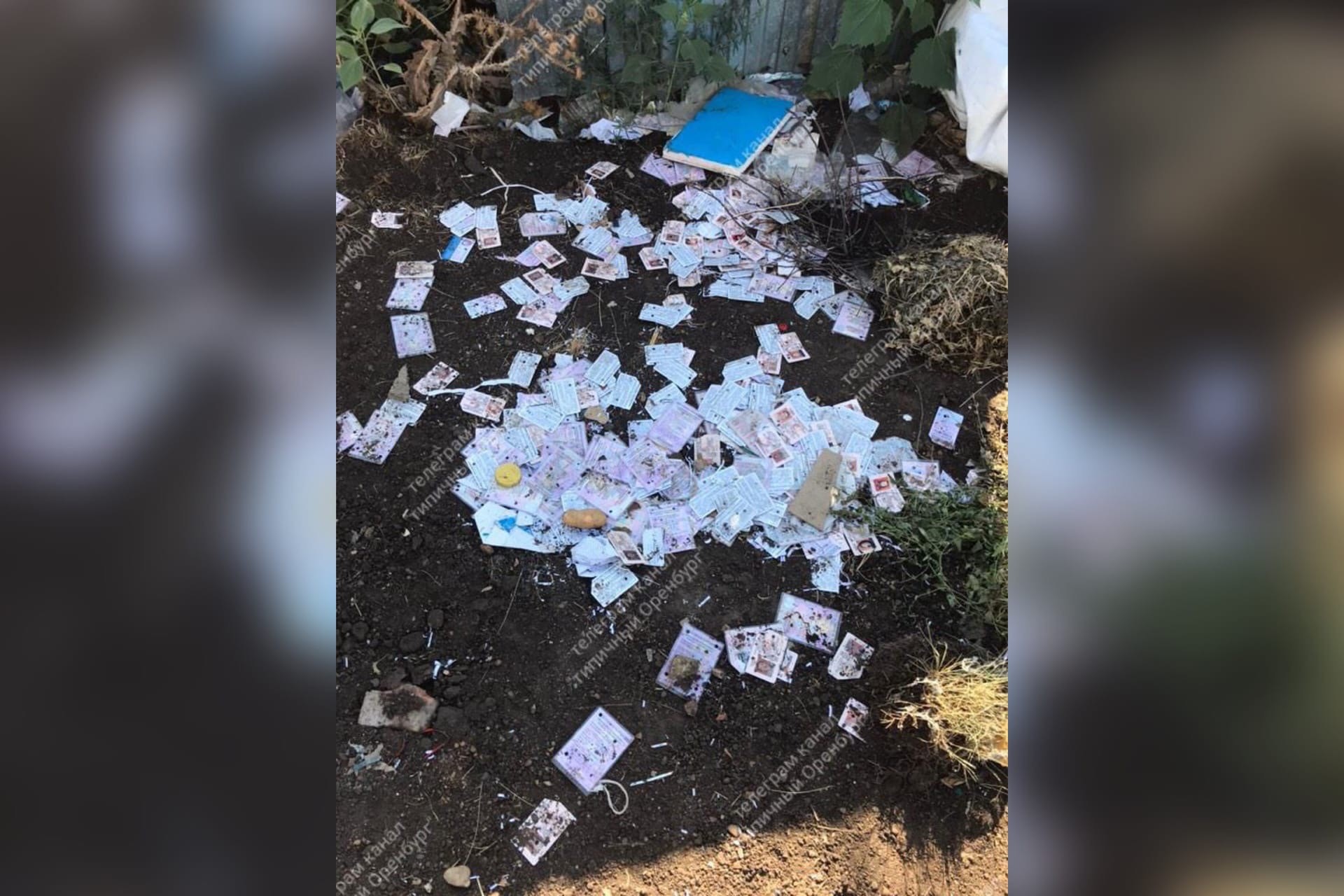 Под Оренбургом обнаружена свалка водительских документов, фото: Типичный Оренбург