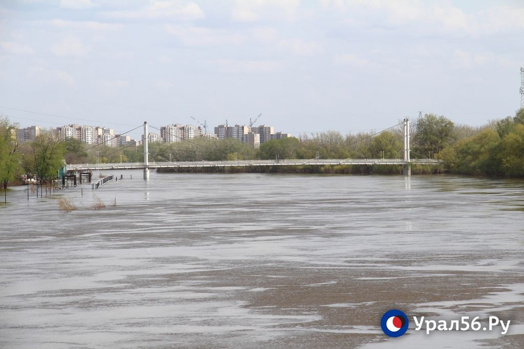Какой уровень воды в урале город оренбург
