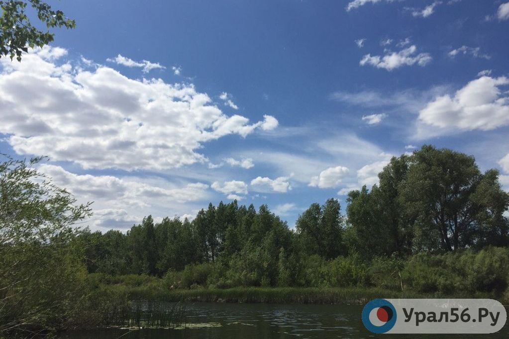 Село Лужки в Оренбургской области
