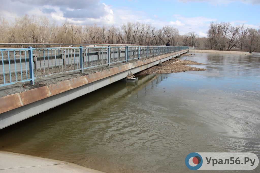Вода в реке Урал в районе Оренбурга до сих пор не спадает