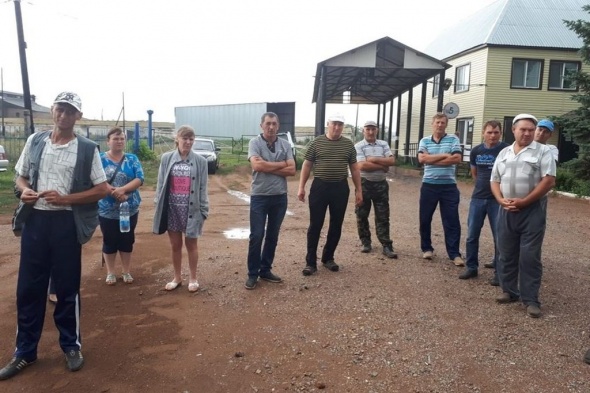 Второй день сотрудники птицефабрики «Родина» в Сорочинске бастуют из-за долгов по зарплате