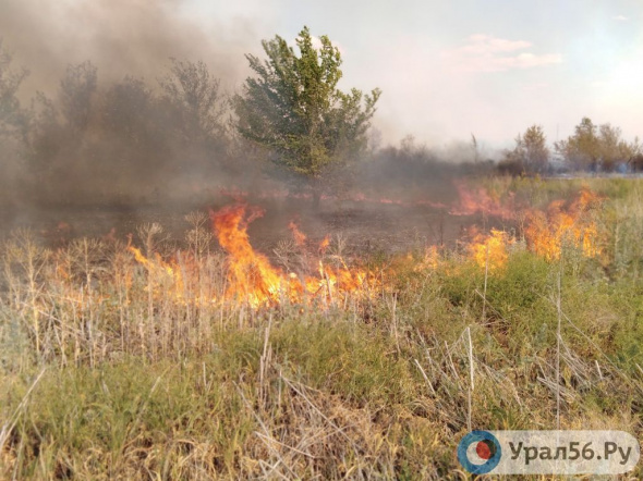 В ближайшее дни в Оренбургской области прогнозируется пятый класс пожарной опасности