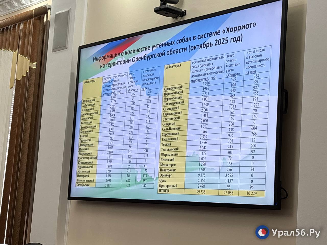 Информация о количестве учтенных собак в системе