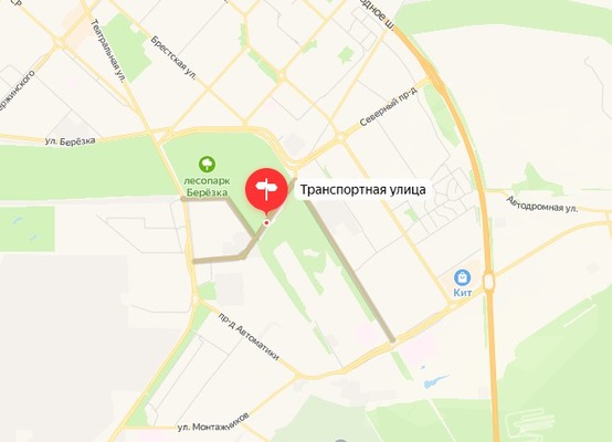 В Оренбурге на 6-летнего ребенка напала бездомная собака