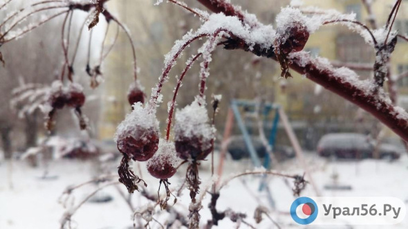 В ночь на 23 февраля в Оренбургской области ожидается до -35°С