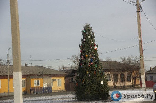 Администрация Советского района Орска купит искусственную елку за полмиллиона рублей. Прошлогоднюю раскритиковал глава города