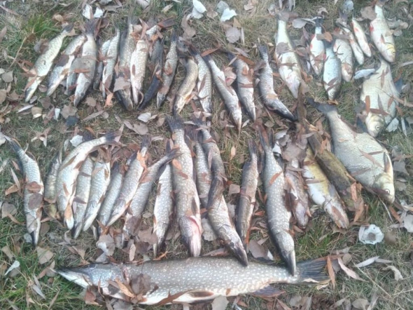 Удачной рыбалке четырех браконьеров из Саракташского района помешали полицейские