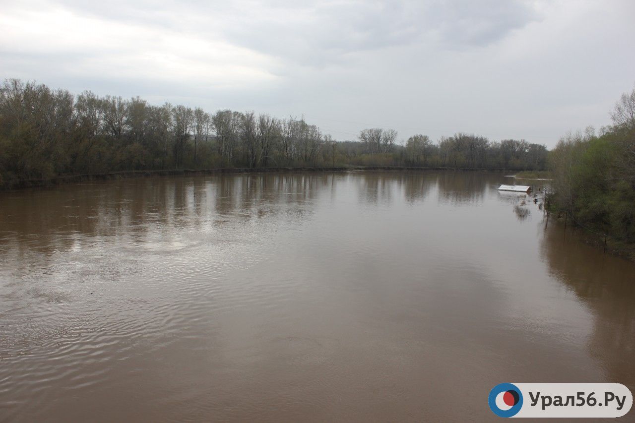 Какой уровень реки сакмара в оренбурге