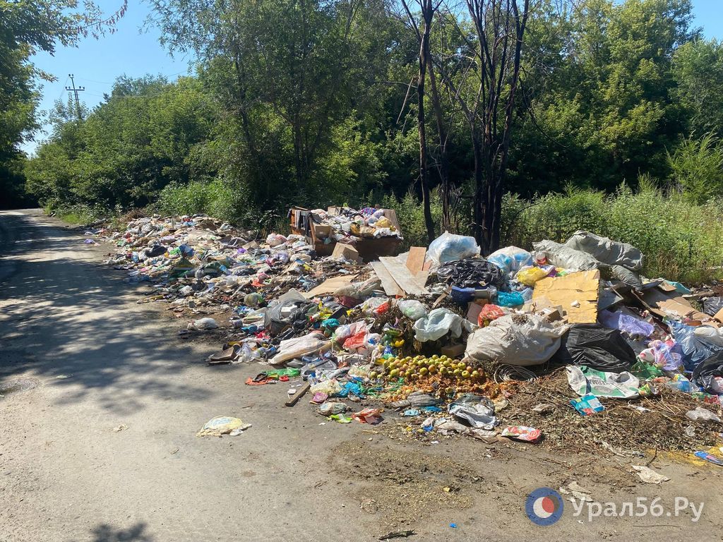 Мусорная свалка в районе ул. Базарной в Орске, 04.08.2025