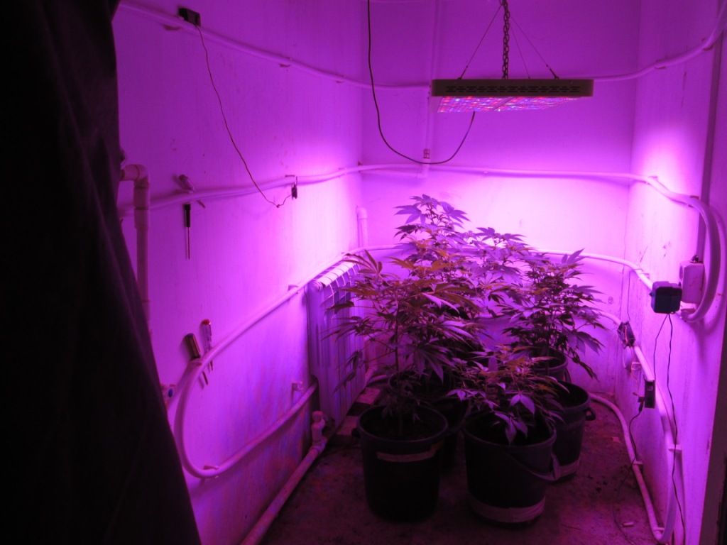 Внутри дворовой постройки. Фото: УМВД России по Оренбургской области