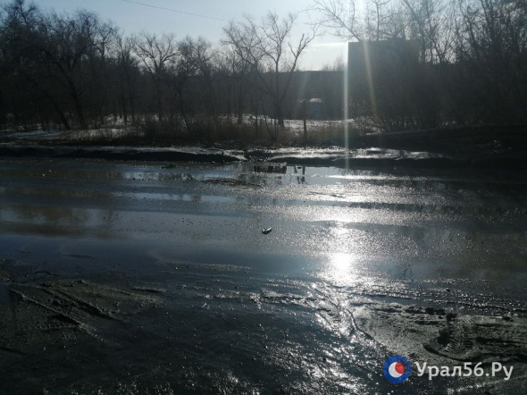 Туман и изморозь: Какая погода в Оренбургской области будет 8 марта? 