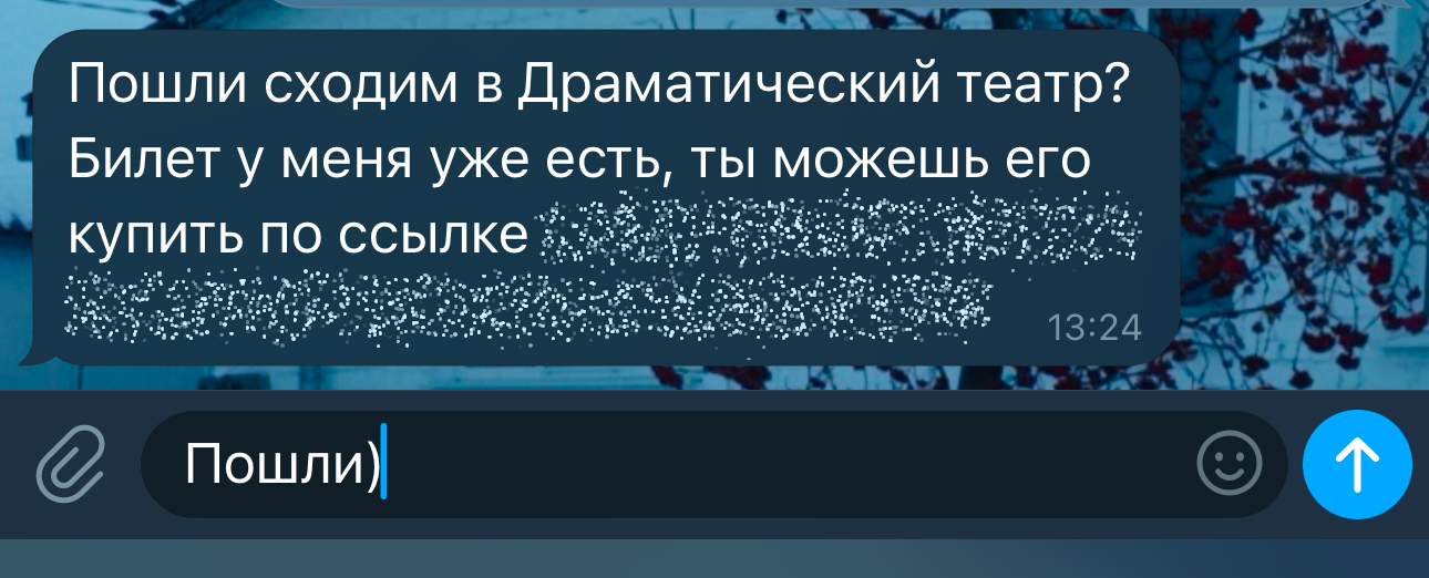 Мошенники отправила ссылку для покупки билета, чтобы получить данные банковской карты