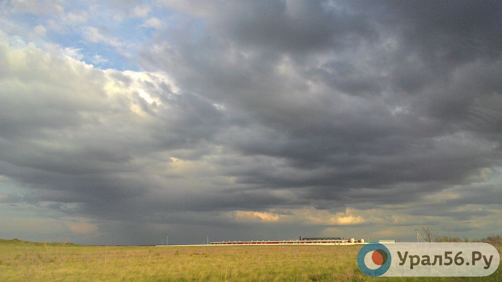 Поле в Оренбургской области. Фото из архива