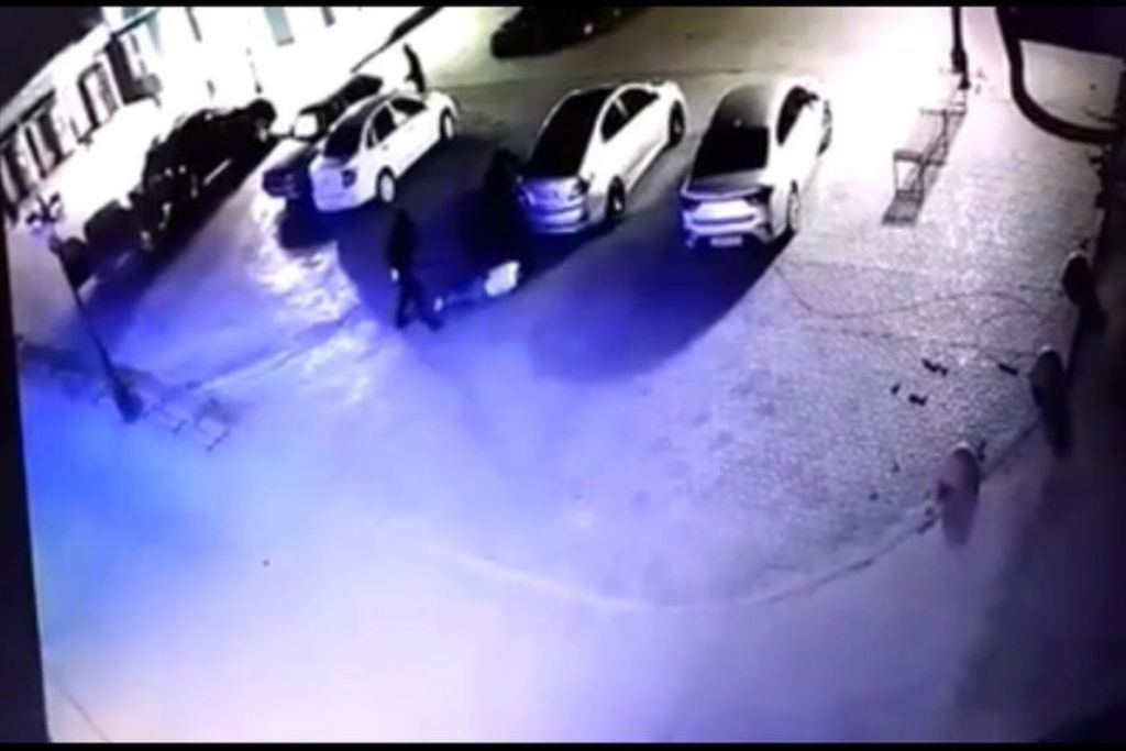 Момент убийства попал на камеру наблюдения. Фото: стоп-кадр с видео
