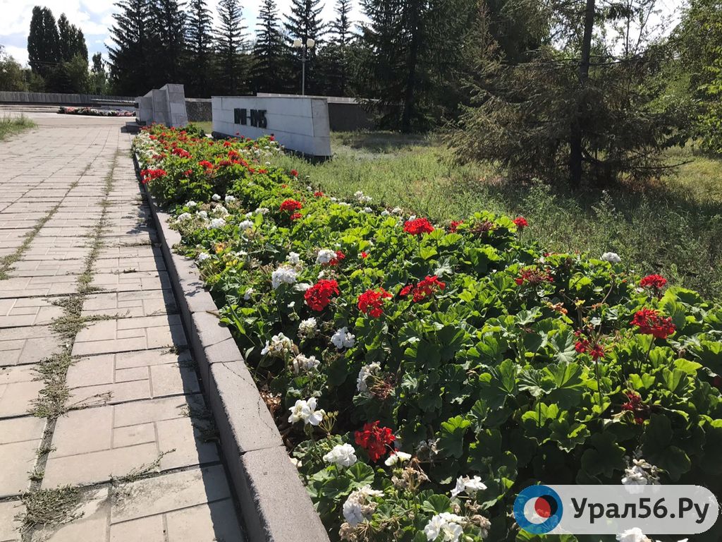 Более 350 тысяч рублей направят в Орске на посадку цветов на газоны сквера Славы ко Дню Победы