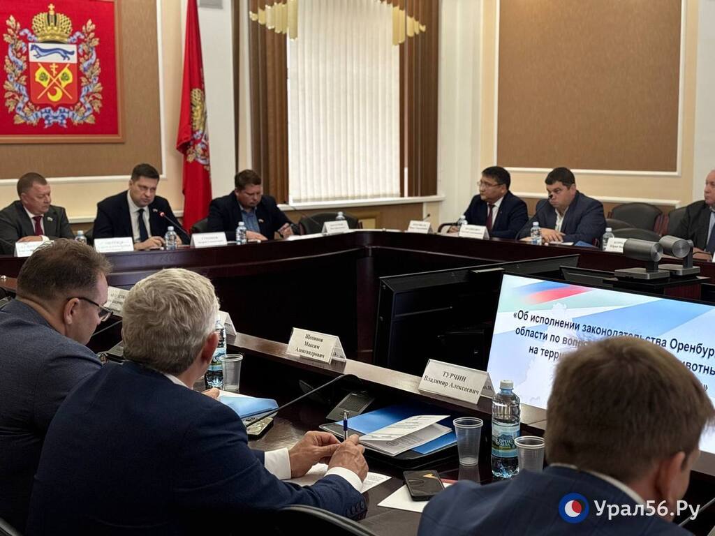Участники круглого стола 22.10.2025, организованного комитетом Законодательного собрания
