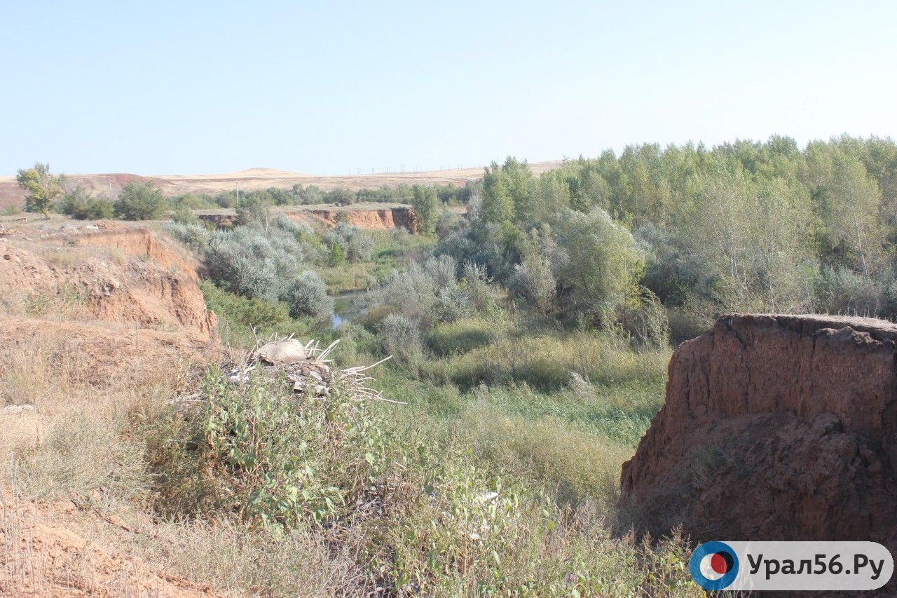 Переселение или ремонт: В Донгузе решают, что делать с опасным берегом