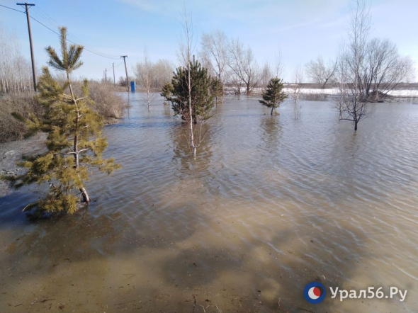 Из-за сильного паводка в Оренбургской области в готовность приведены 10 тыс. человек и более 4 тыс. единиц техники.