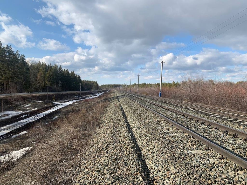 Железная дорога вдоль нацпарка. Фото: Бузулукский бор