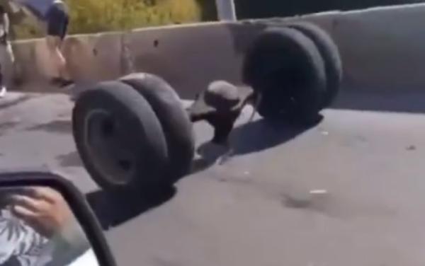 Стопкадр из видео