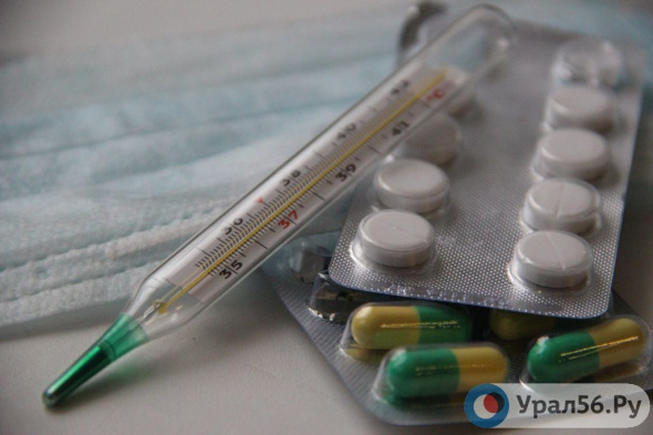 В Оренбургской области продолжает расти заболеваемость свиным гриппом и ОРВИ