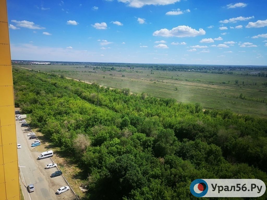 Рядом с этой лесопосадкой должна появиться новая дорога, ЖК «Оренбуржье», Оренбург