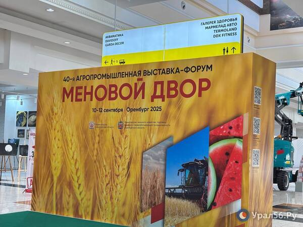 На выставке «Меновой двор»