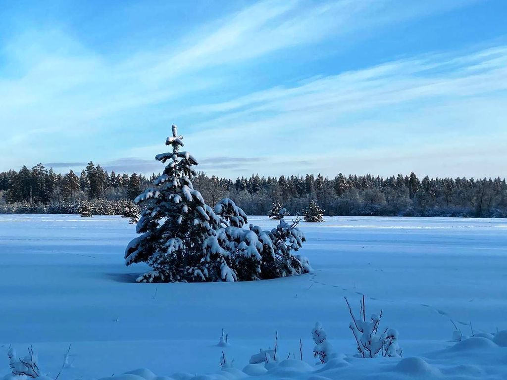 Зима в нацпарке. Фото: ТГК Бузулукский бор