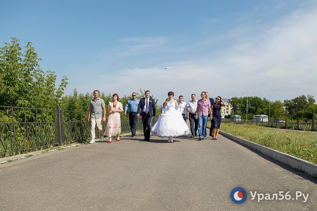 Молодожены Оренбургской области