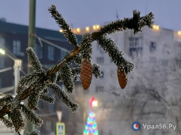 Мороз -33°С ожидается 18 января в Оренбургской области