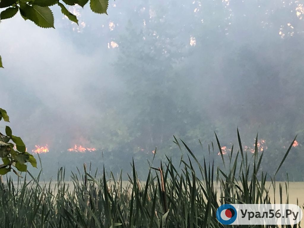 Напротив базы отдыха «Уральская деревня» сильно горит лесопосадка