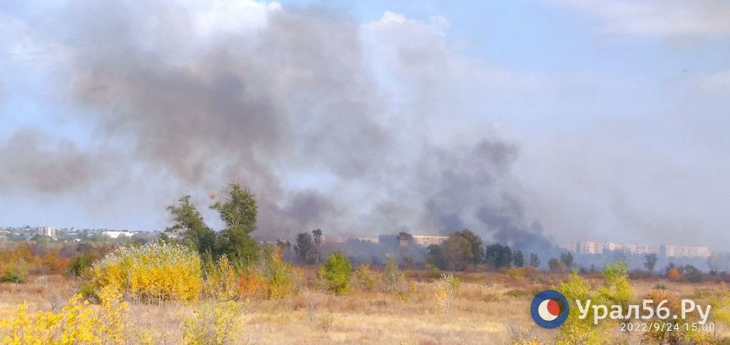 Горит сухая трава в районе садов между Краснознаменной и Крайней