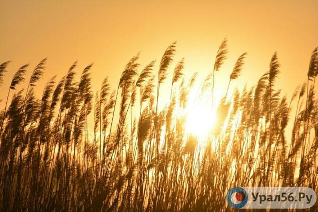 Прогнозируется жара в Оренбургской области, фото из архива