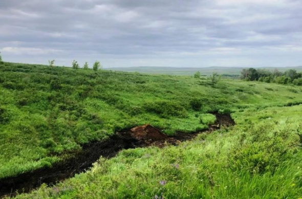 В Переволоцком районе произошел разлив нефтепродуктов, загрязнение почти дошло до реки Кубанка