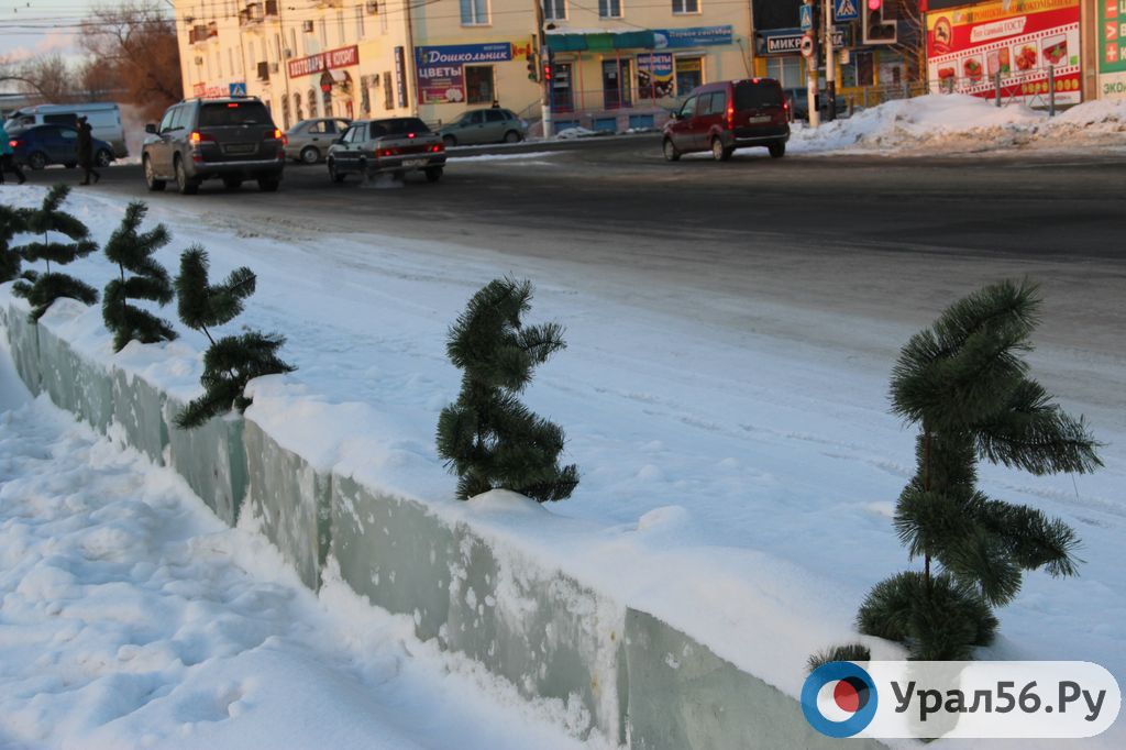 Жители Орска обнаружили в городе странные елки