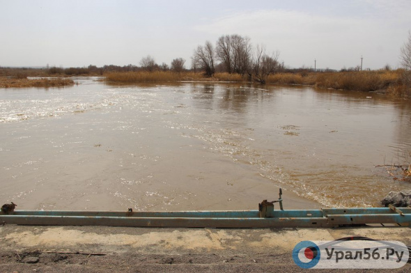 Река Орь в районе Ащебутака за сутки прибавила 2,5 метра, в Оренбурге Урал «вырос» на 48 см