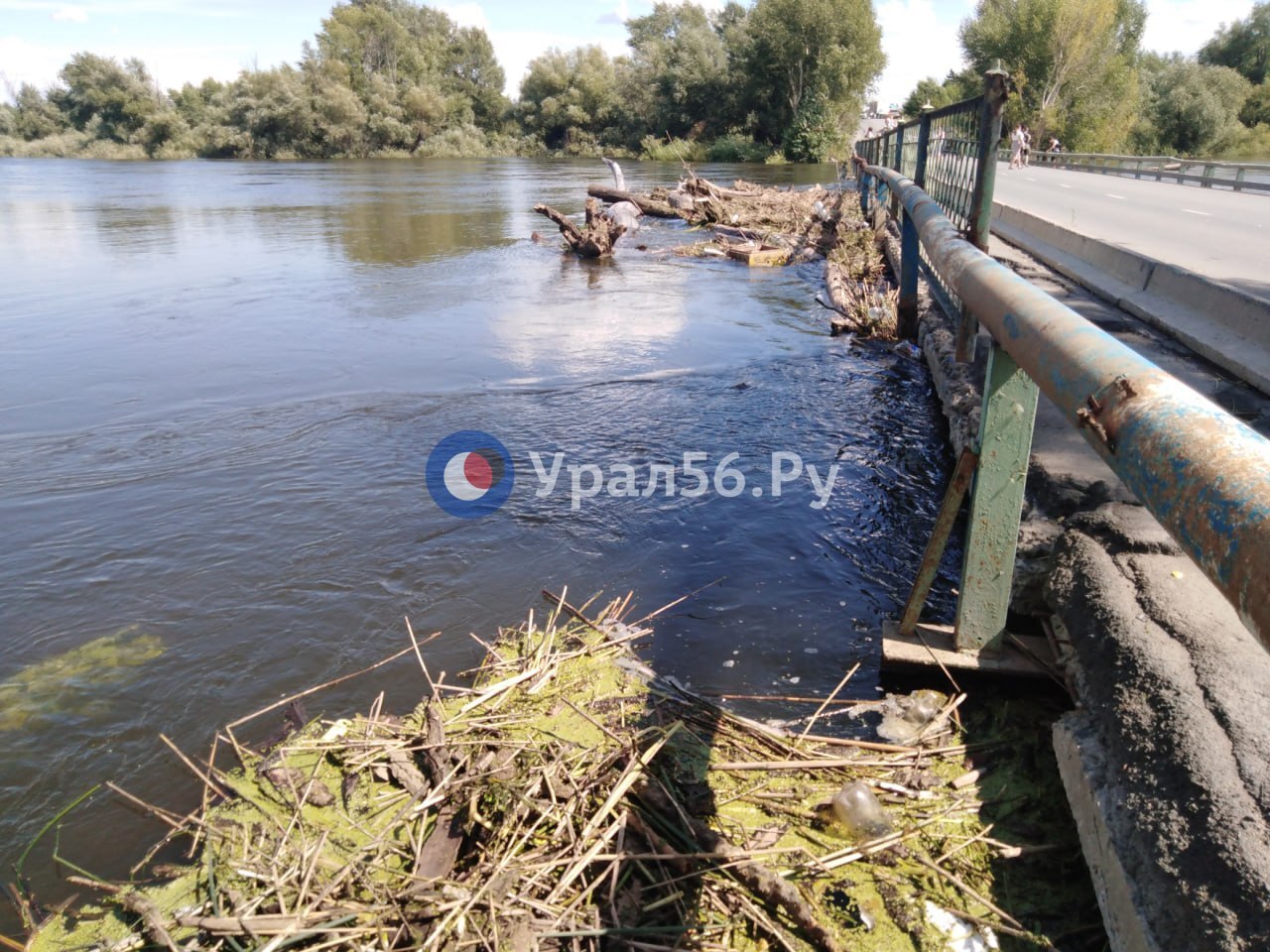 Обстановка в районе Детского пляжа в Орске. 3 августа 2024 года