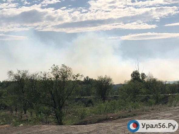 Пожар в Орске: горят лес и трава рядом с детским пляжем на Урале